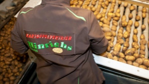 Mitarbeiterin sortiert Kartoffeln
