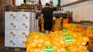 Kartoffelsäcke und Kartons