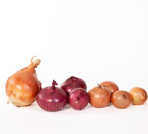 lose Zwiebeln in Reihe